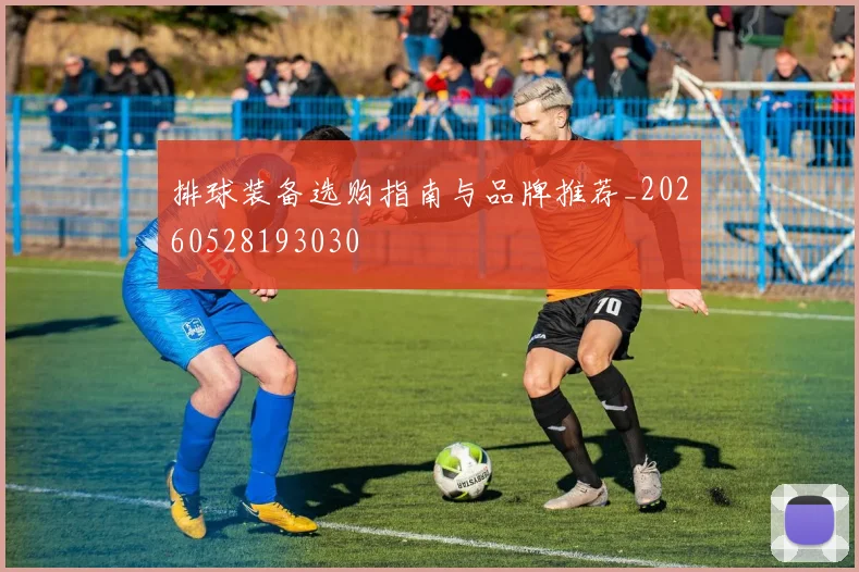 排球装备选购指南与品牌推荐_20260528193030