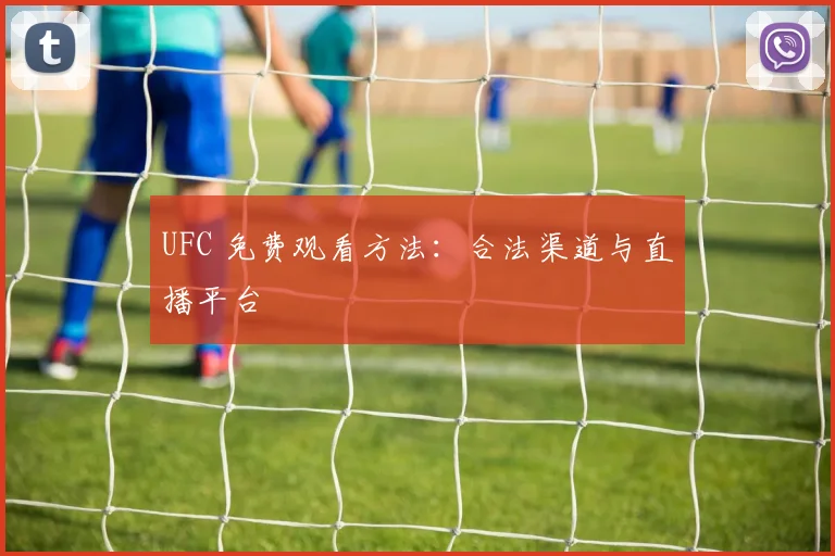 UFC 免费观看方法：合法渠道与直播平台